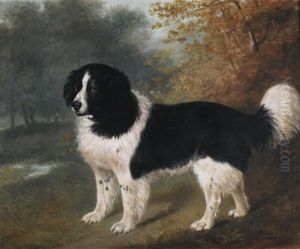 A Favourite Newfoundland Dog In A Landscape by John Boultbee