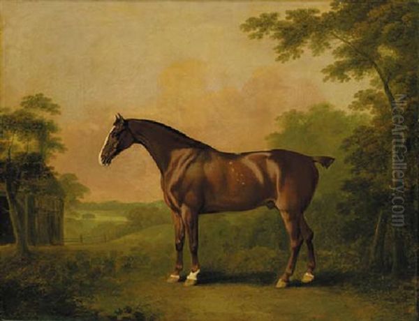 "samson," A Liver Chesnut Hunter, In A Wooded Landscape - view 1