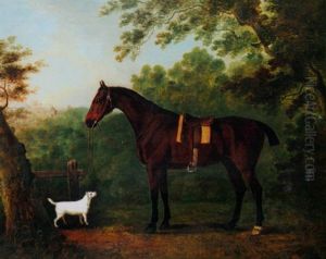 A Stallion With A Terrier In An Extensive Landscape