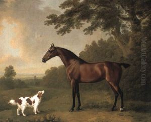 Bay Hunter And King Charles Spaniel Near A Wood