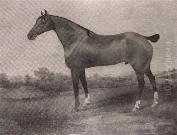 A Bay Stallion In A Landscape - view 1