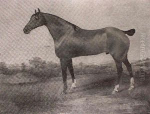 A Bay Stallion In A Landscape by John Boultbee