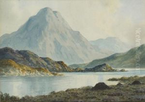 At Ballinahinch, Connemara by Douglas Alexander