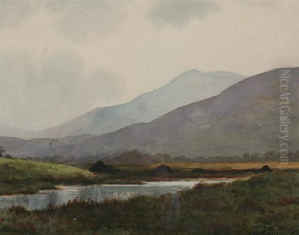 Mountain Stream - view 1