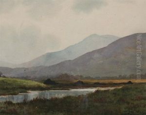 Mountain Stream by Douglas Alexander