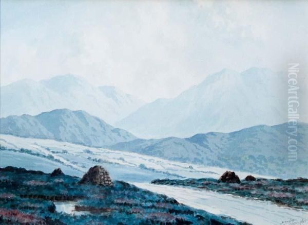 On The Road To Reenaue, Connemara - view 1