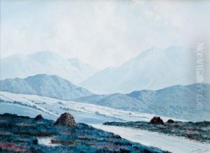 On The Road To Reenaue, Connemara by Douglas Alexander