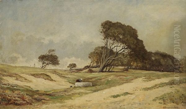 Lavandiere Dans Le Vent Des Landes - view 1