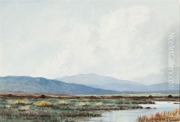 Scene Of Boglands, Near Maam, Connemara - view 1