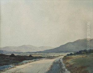 Road To Clifden, Connemara by Douglas Alexander