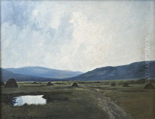 Bog Landscape Donegal - view 1