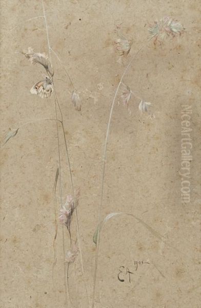 Butterfly - view 1