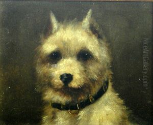 Study Of A Terrier