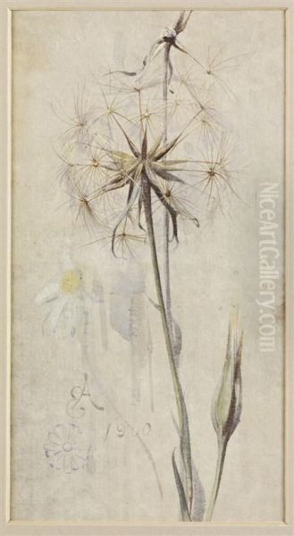 Goat's Beard In Seed - view 1