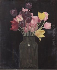 Tulipes Sur Fond Noir Tulipes Sur Fond Noir