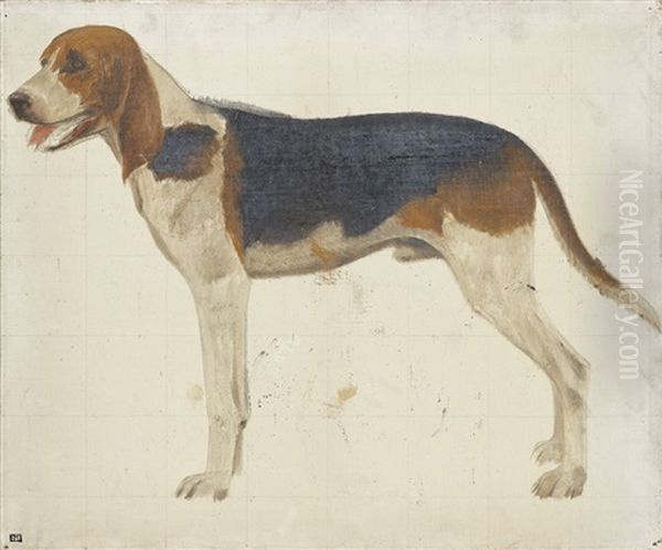 Le Chien Jupiter - view 1