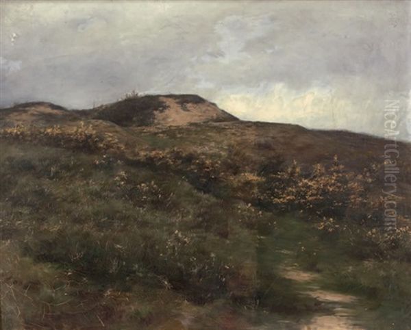 Lande Bretonne - view 1