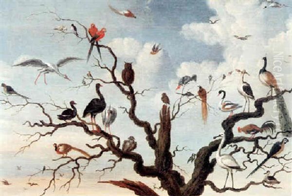 A Concert Of Birds In A Tree, Including Owls, A Pheasant, A Peacock And Other Birds - view 1