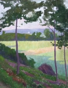 Paysage Aux Grands Arbre