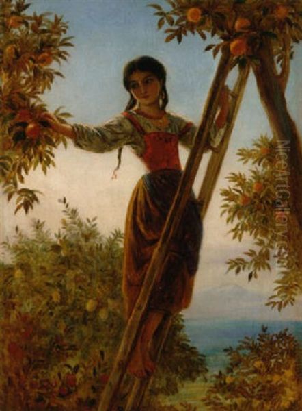 The Orange Picker - view 1