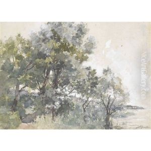 Baie D'auvernier by Paul Bouvier