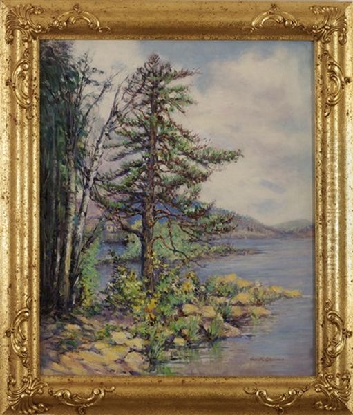 Pine Tree And Cottage Along A Coast - view 1