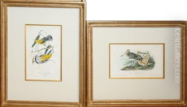 Untitled - view 1