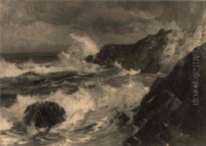 Rocky Maine Coast by Alexander Bower