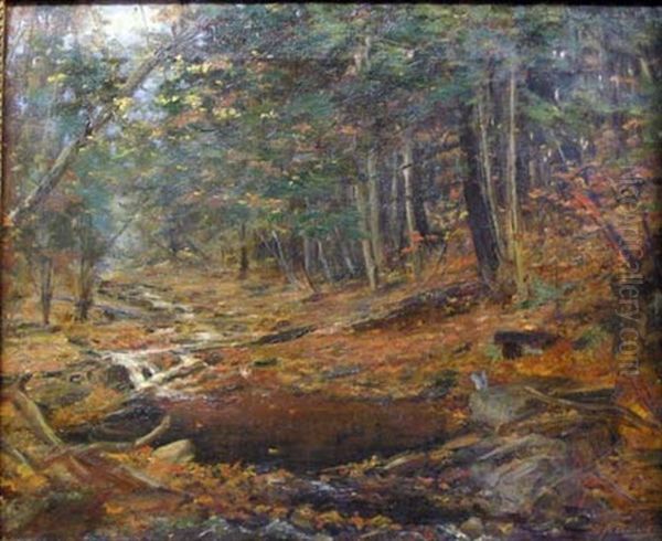 A Woodland Glade - view 1