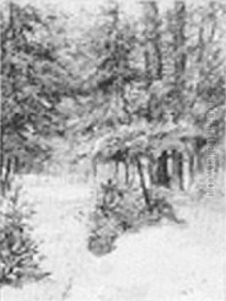 Tracks In The Snow - view 1