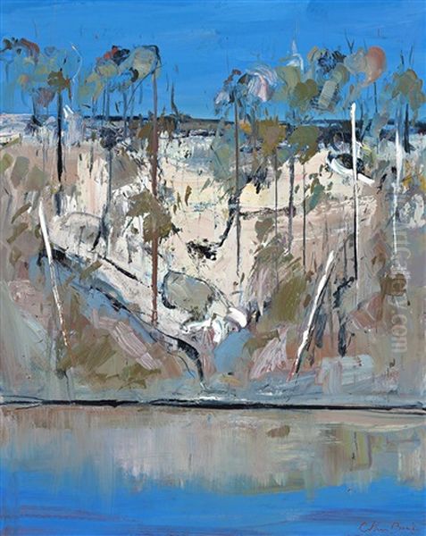Shoalhaven River - view 1