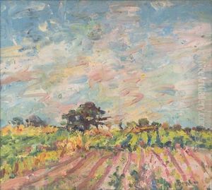 The Ploughed Paddock