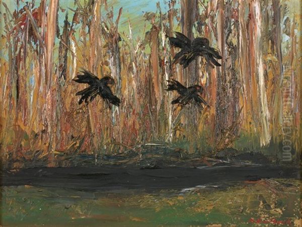 Black Cockatoos, Shoalhaven Landscape - view 1