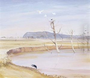 Wimmera Landscape With Dam And White Cockatoos