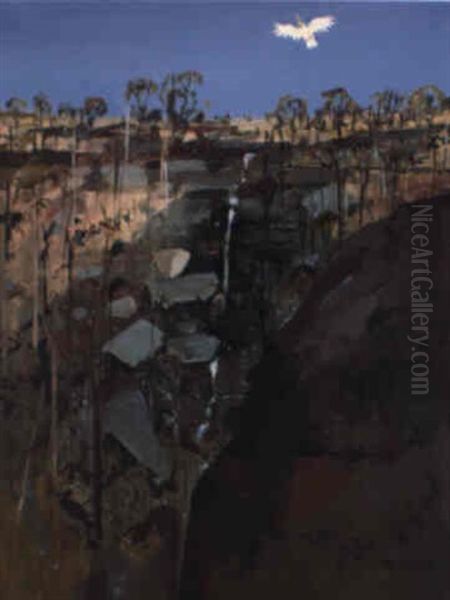 Shoalhaven - view 1