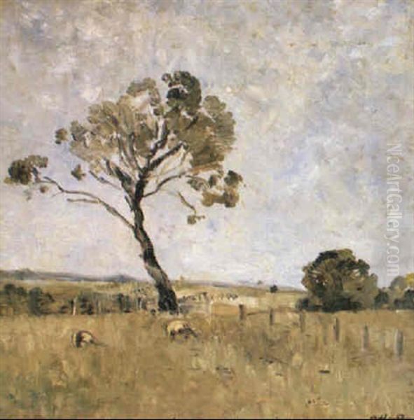 Mornington Peninsula - view 1