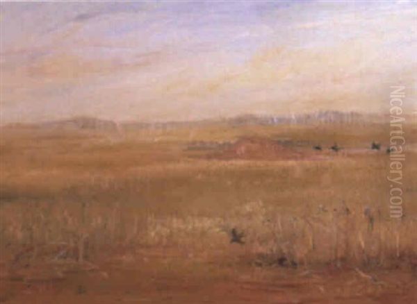 Wimmera Landscape - view 1