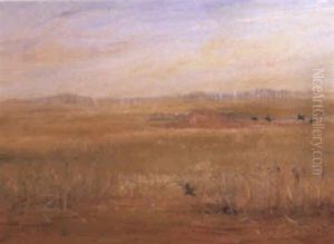 Wimmera Landscape