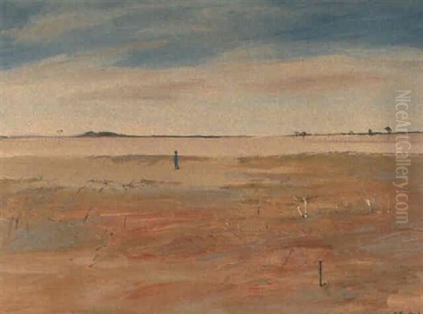 Wimmera Landscape - view 1