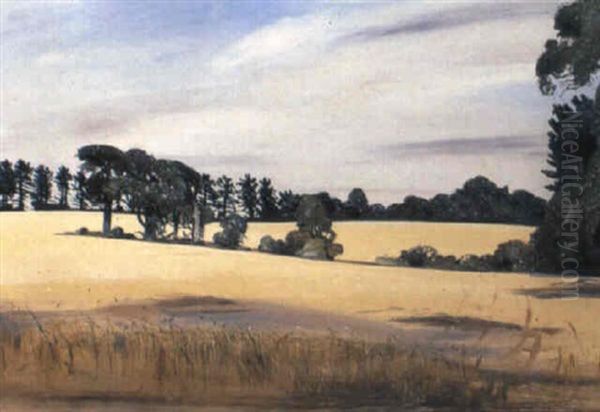 Field At Ramsholt - view 1