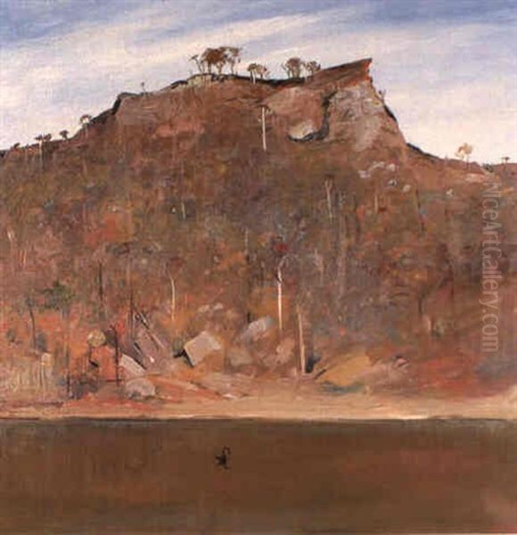 Shoalhaven Landscape - view 1