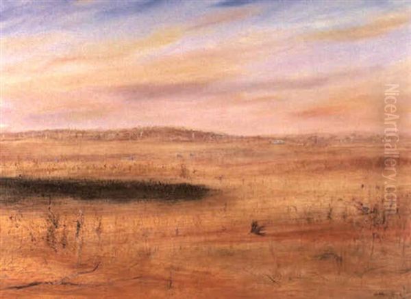 Wimmera Landscape - view 1