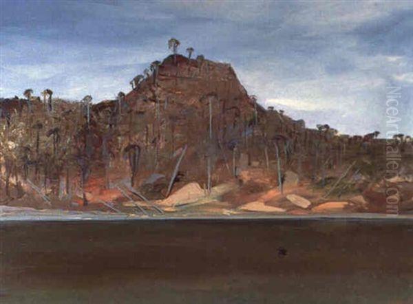 Shoalhaven Riverbank With Black Swan - view 1