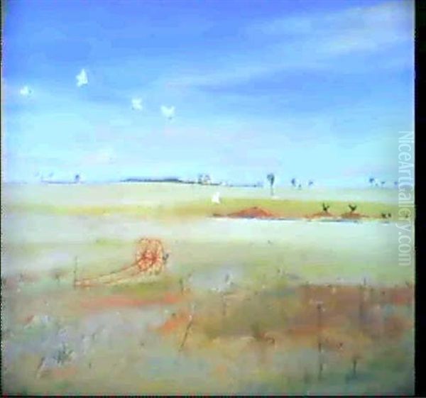 Wimmera; Hayrake, Waterhole And White Cockatoos - view 1