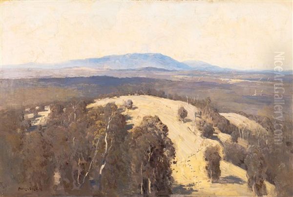 Kangaroo Ground - view 1