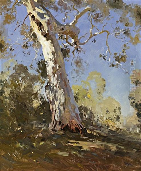 Morning (the White Gum) - view 1