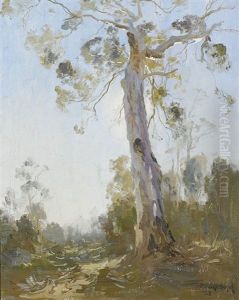 Before The Light by Theodore Penleigh Boyd