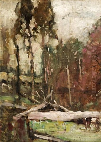 Bush Scene - view 1