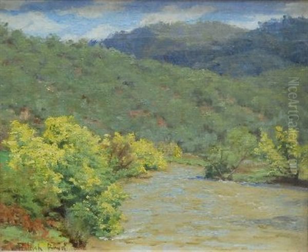 Wattle By The River - view 1