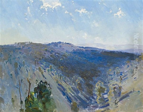 Christmas Hills, Victoria - view 1